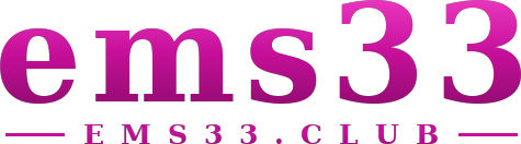 ems33 logo